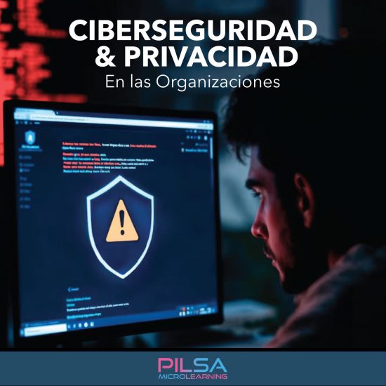 Ciberseguridad y Privacidad